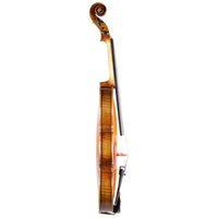 Violon - La Primavera 4/4, Forchheim 2025