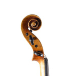 Violin - La Primavera 4/4, Forchheim 2025