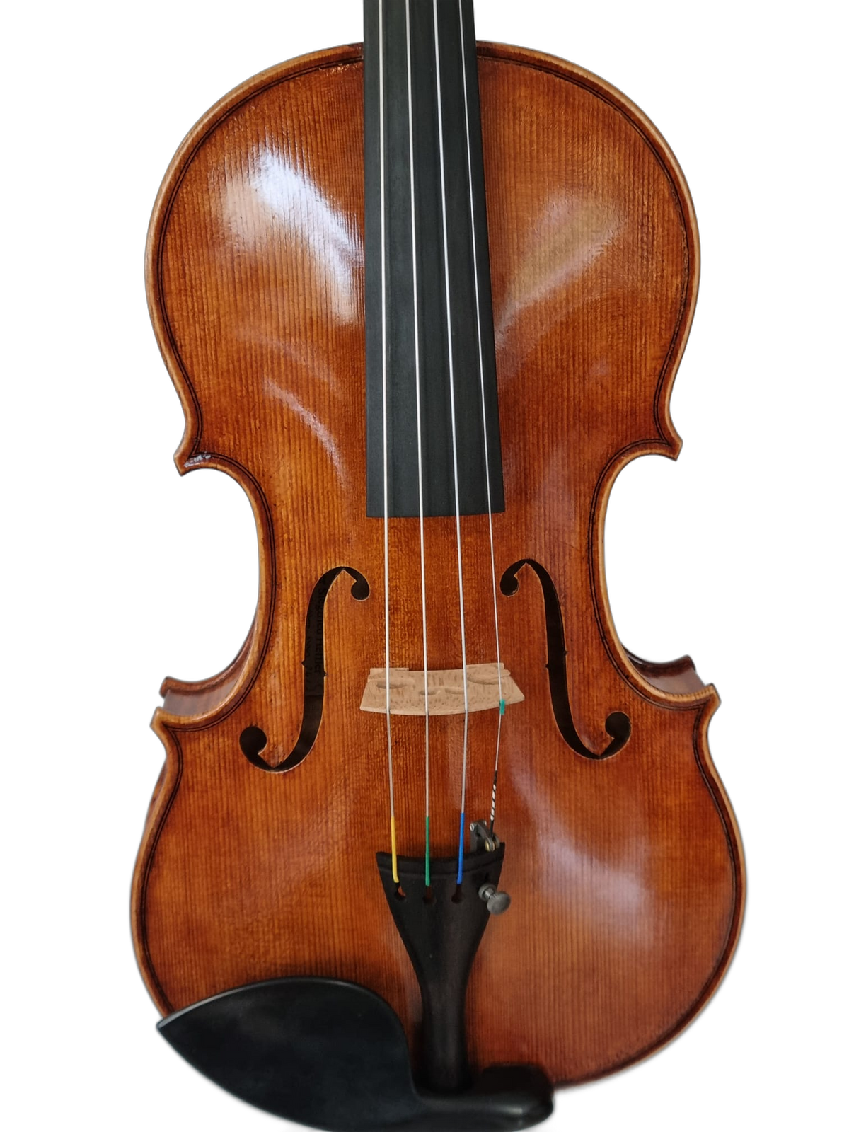 Violin - " La Serenata " 4/4, Forchheim 2026