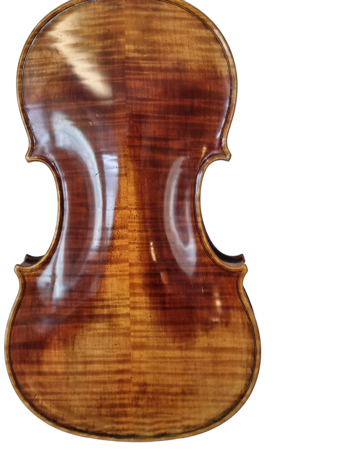 Violin - " Il Segreto " 4/4, Forchheim 2026