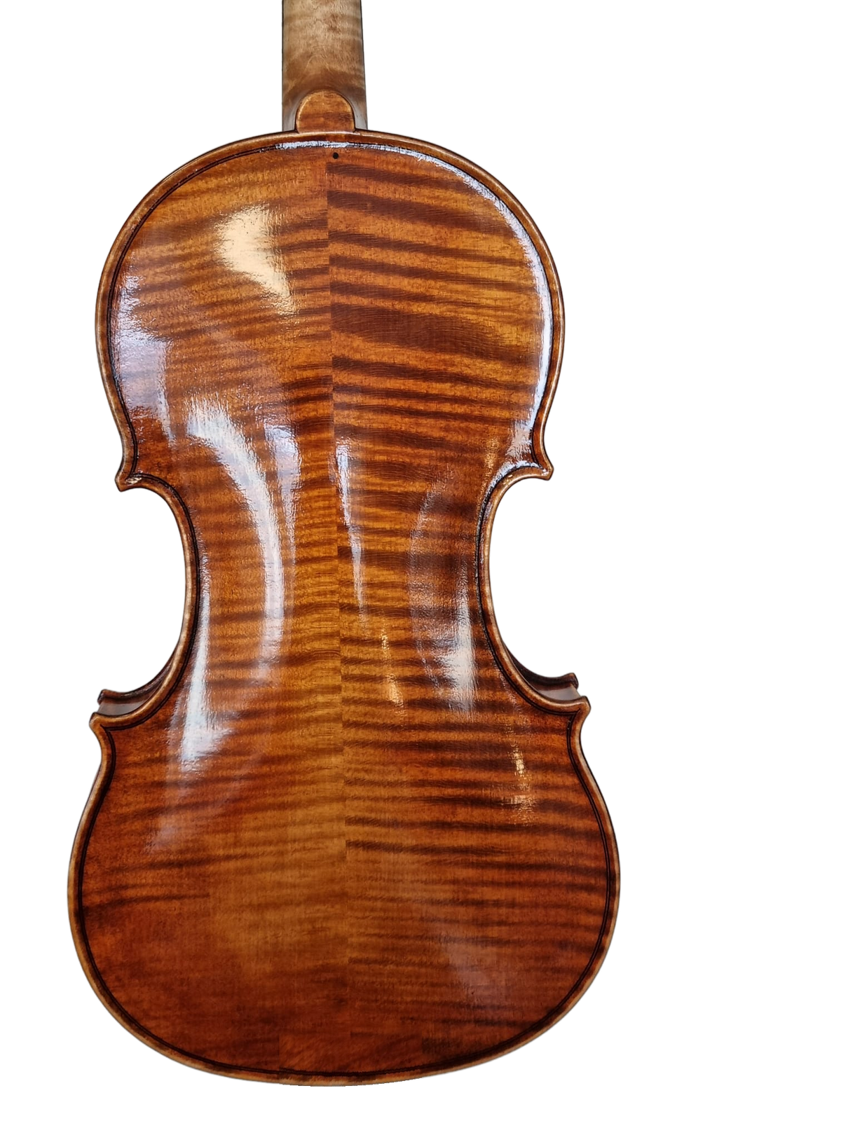 Violin - " Il Tesoro " 4/4, Forchheim 2026
