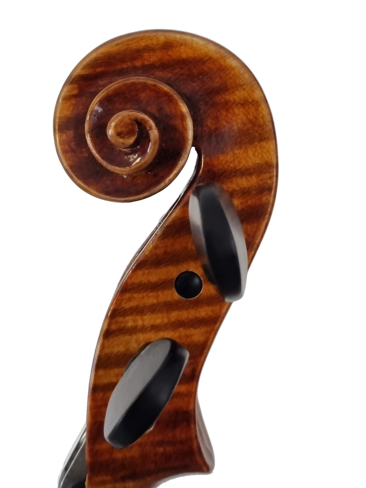 Violin - " La Serenata " 4/4, Forchheim 2026