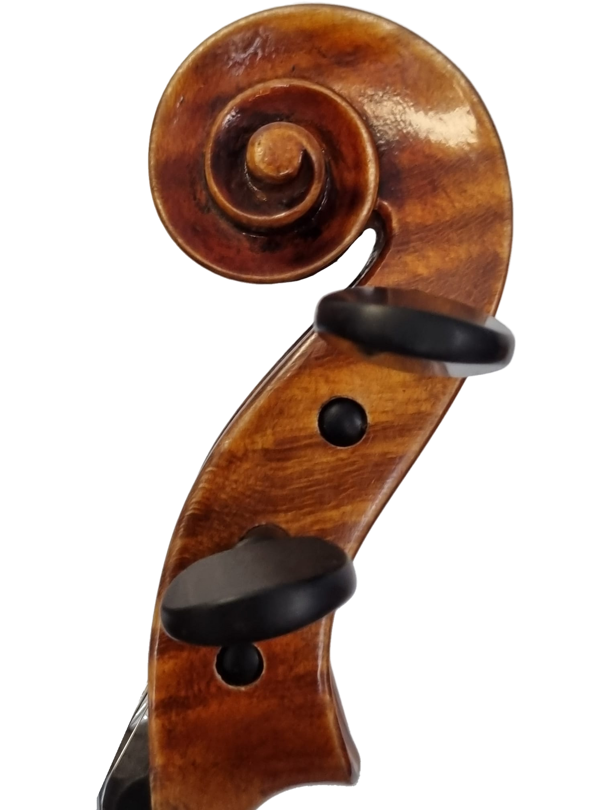 Violin - " Il Tesoro " 4/4, Forchheim 2026