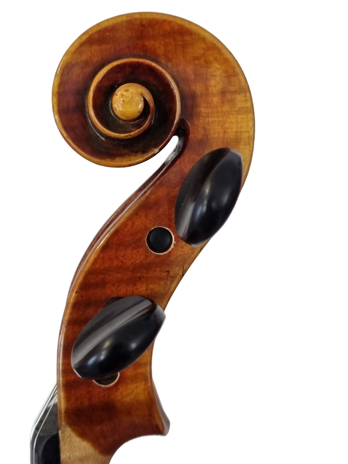 Violin - " Il Segreto " 4/4, Forchheim 2026