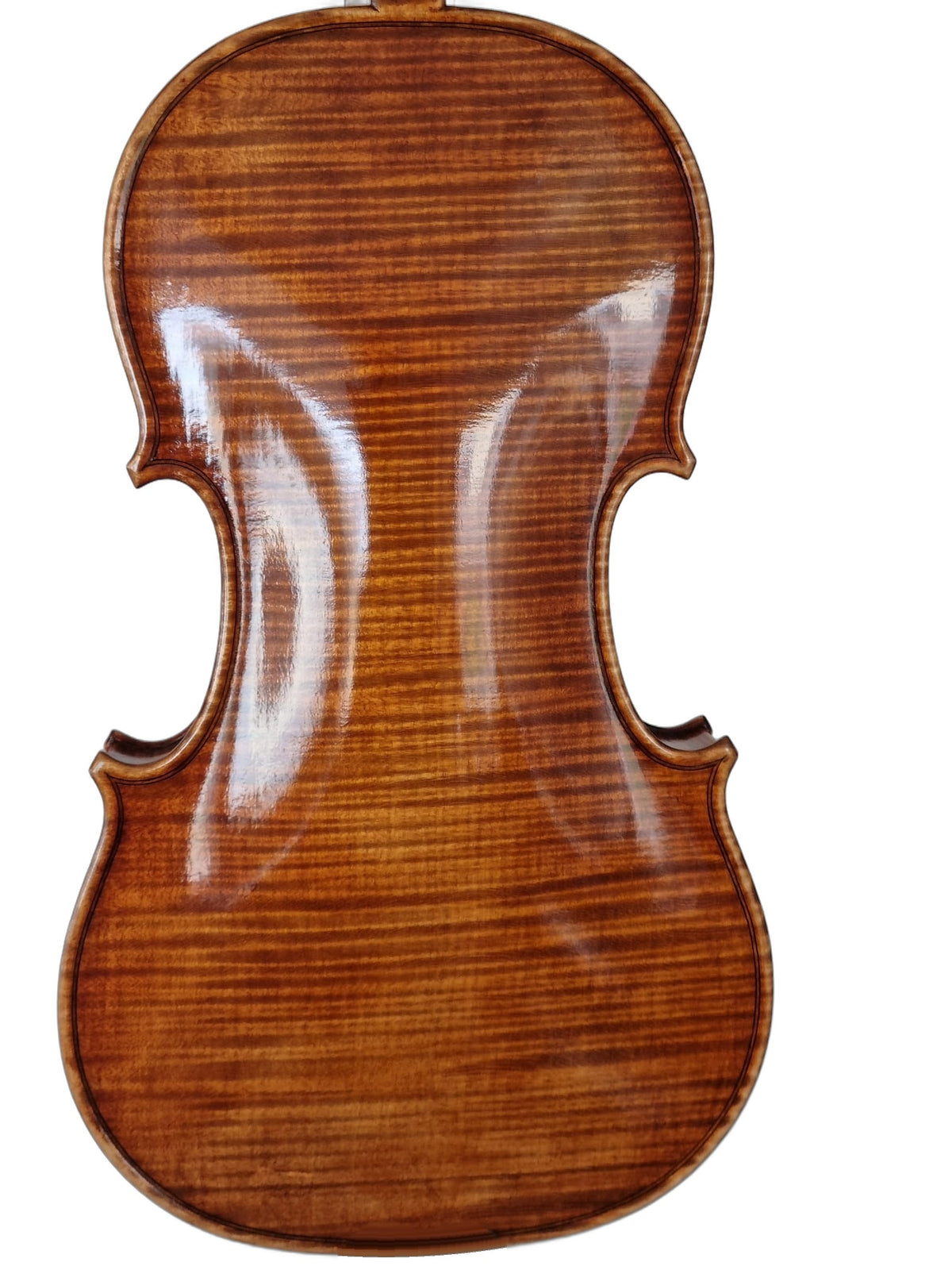 Violin - " L'Aurora " 4/4, Forchheim 2026