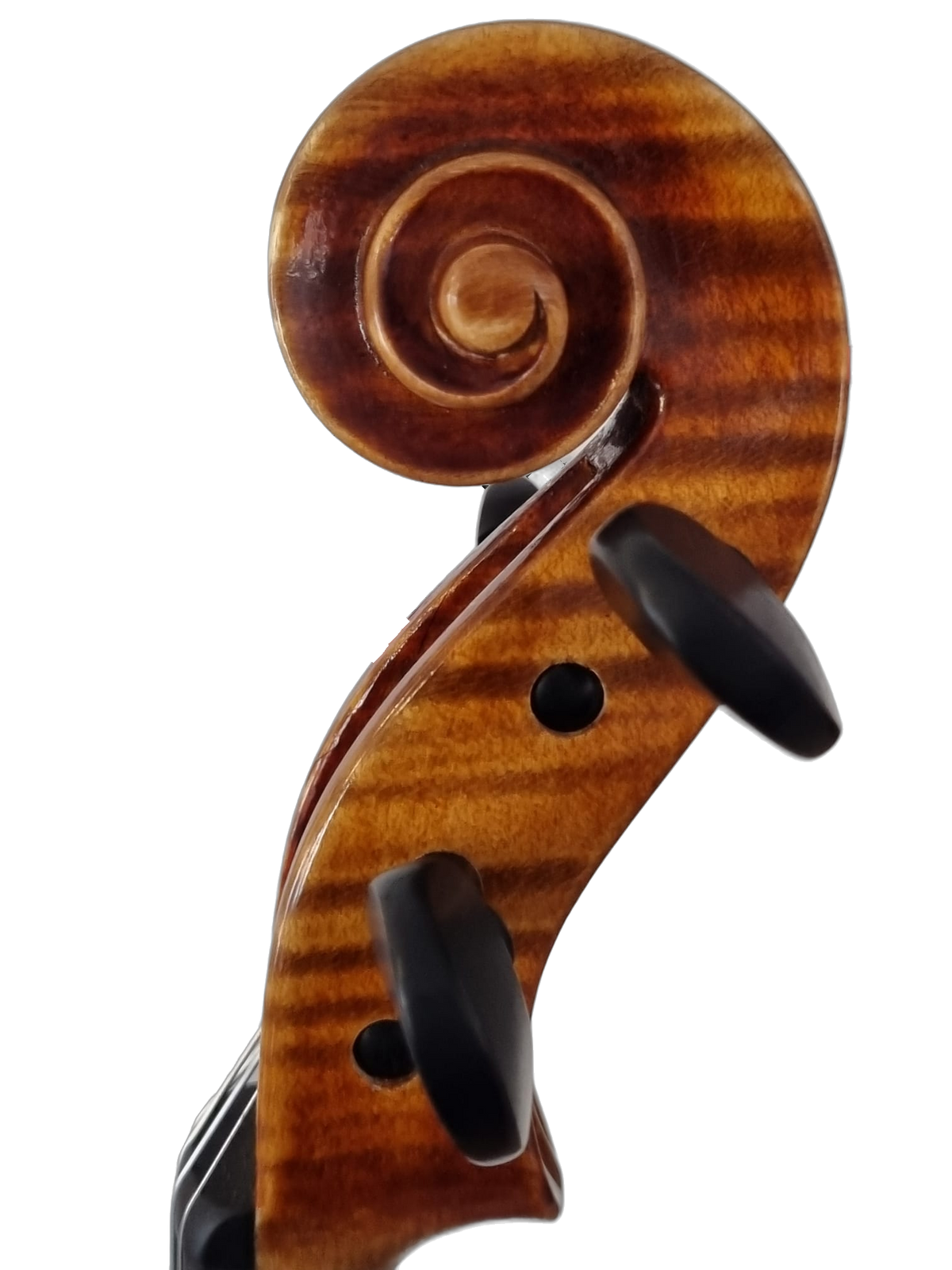 Violin - " L'Aurora " 4/4, Forchheim 2026