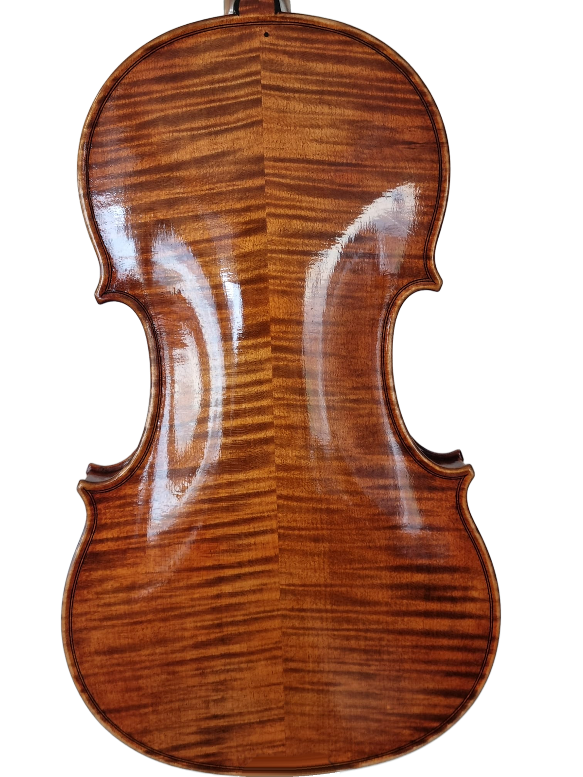 Violin - " L'Incanto " 4/4- Forchheim 2026