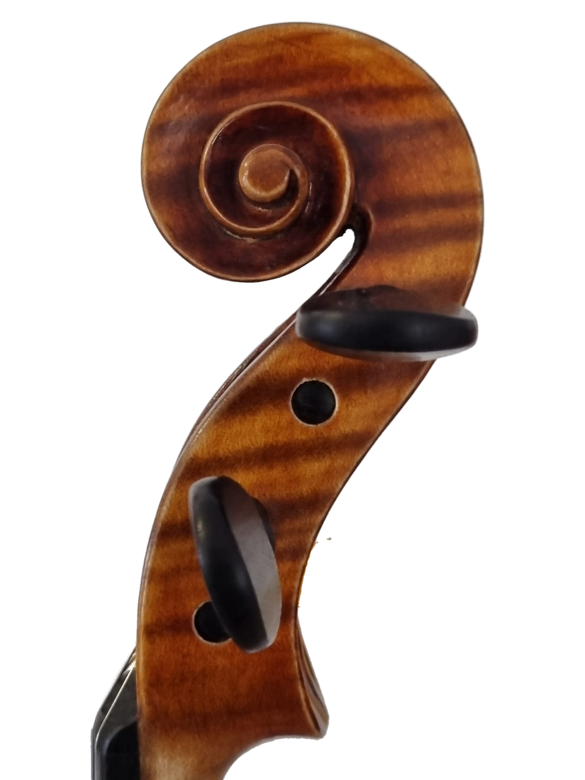 Violin - " L'Incanto " 4/4- Forchheim 2026