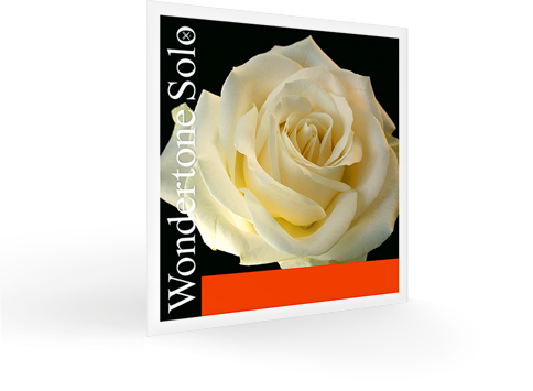 Pirastro Wondertone E-Saite für Violine